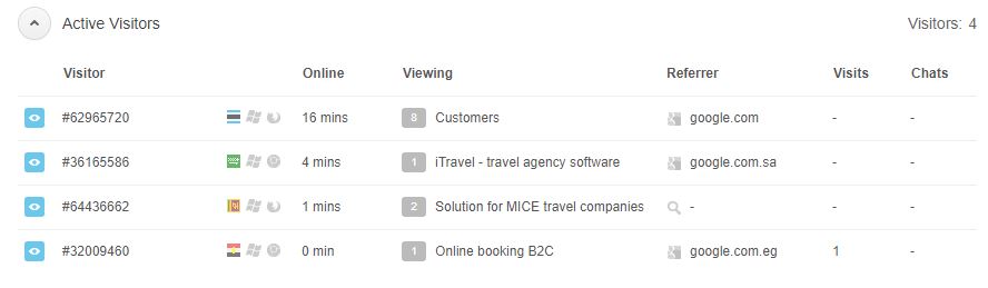 List of active visitors on your website